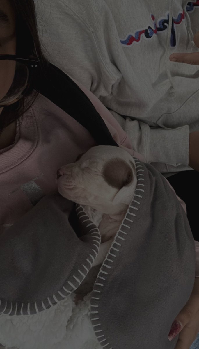 t amo mi bonita. 🩷