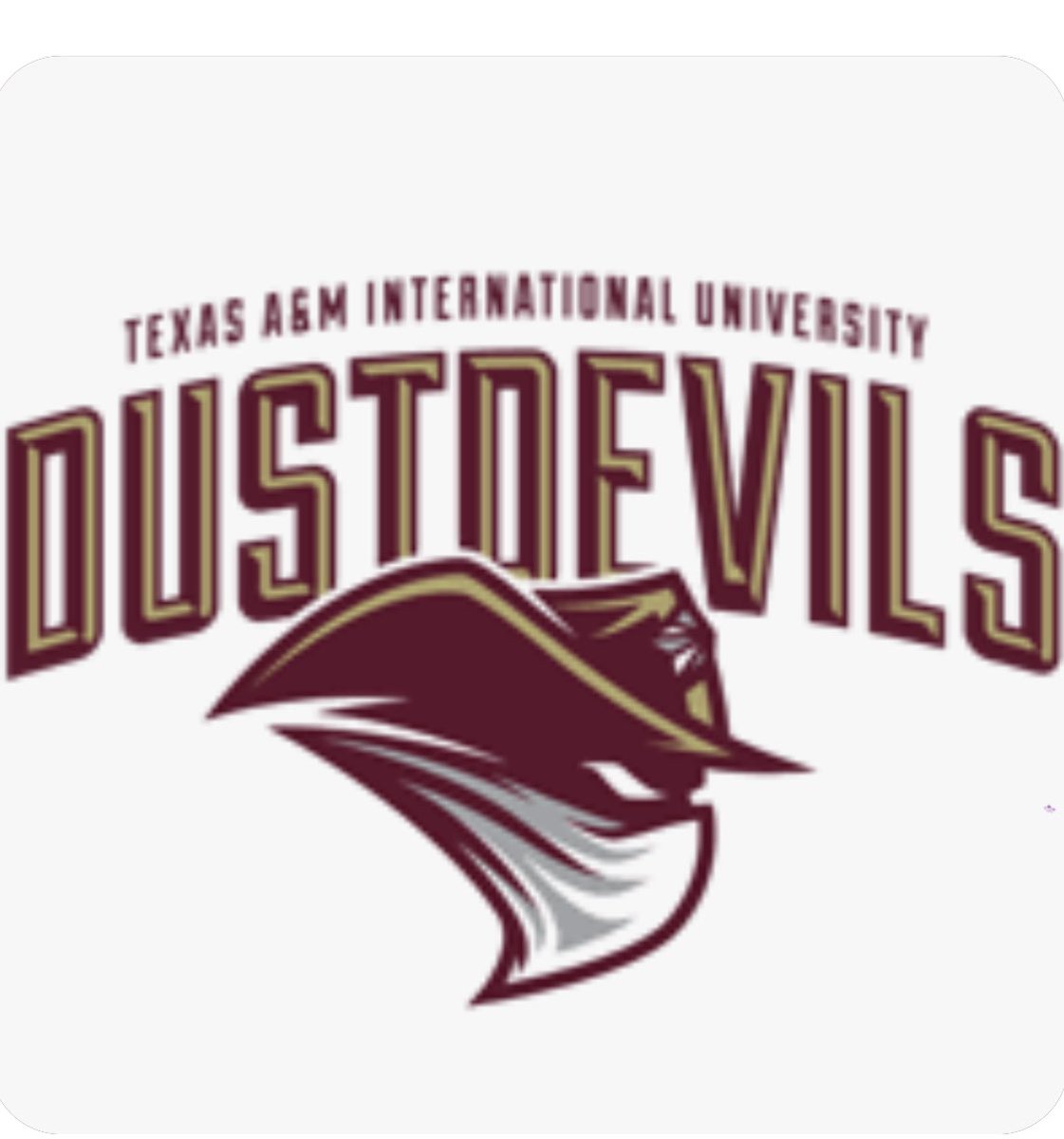 Just had a great call with @CoachNateVogel and I am so excited to review an offer from @DustdevilsWBB! @LHSGbb @coach_jgray @teamhunchobball
