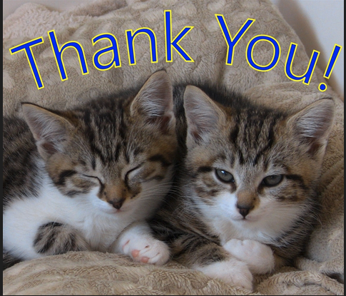 Everyone should know Sandra  created the new graphic in our promo tweets. Her FIRST attempt at graphics!  

Thank you, Sandra for leading PRAISE chat.