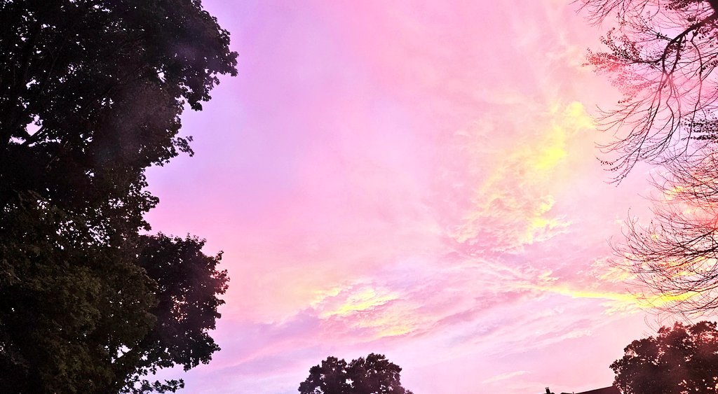 𝕋𝕖𝕃𓂀𝕤𝕒 D. | IG: @TeLisaD tweet media