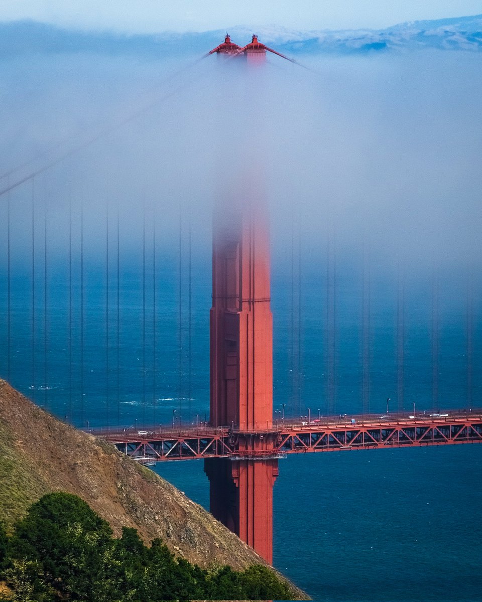 Golden Gate Bridge bathed in fog... 'Tis the season.

@zimpix @hknightsf @peterhartlaub @RobMayeda @SFGate #totalsf #CAwx @KarlTheFog @fog_karla