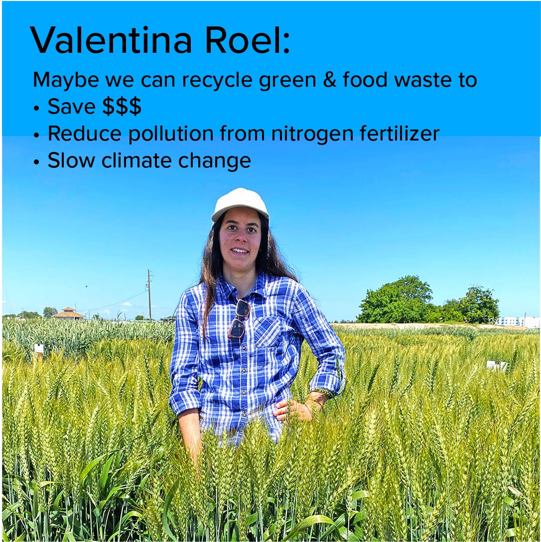 UCDavisPlants's tweet photo. This #AmazingGradStudent tests soil amendments made from recycled waste on a farm near #UCDavis. Early results look promising: https://t.co/l1u2oSm0Yl
#UCDavisGradStudents @ucdaviscaes #fertilizer #nitrogen #greenwaste #foodwaste #climatchange #climatecrisis #nitrogenpollution https://t.co/biSJyRyZfI