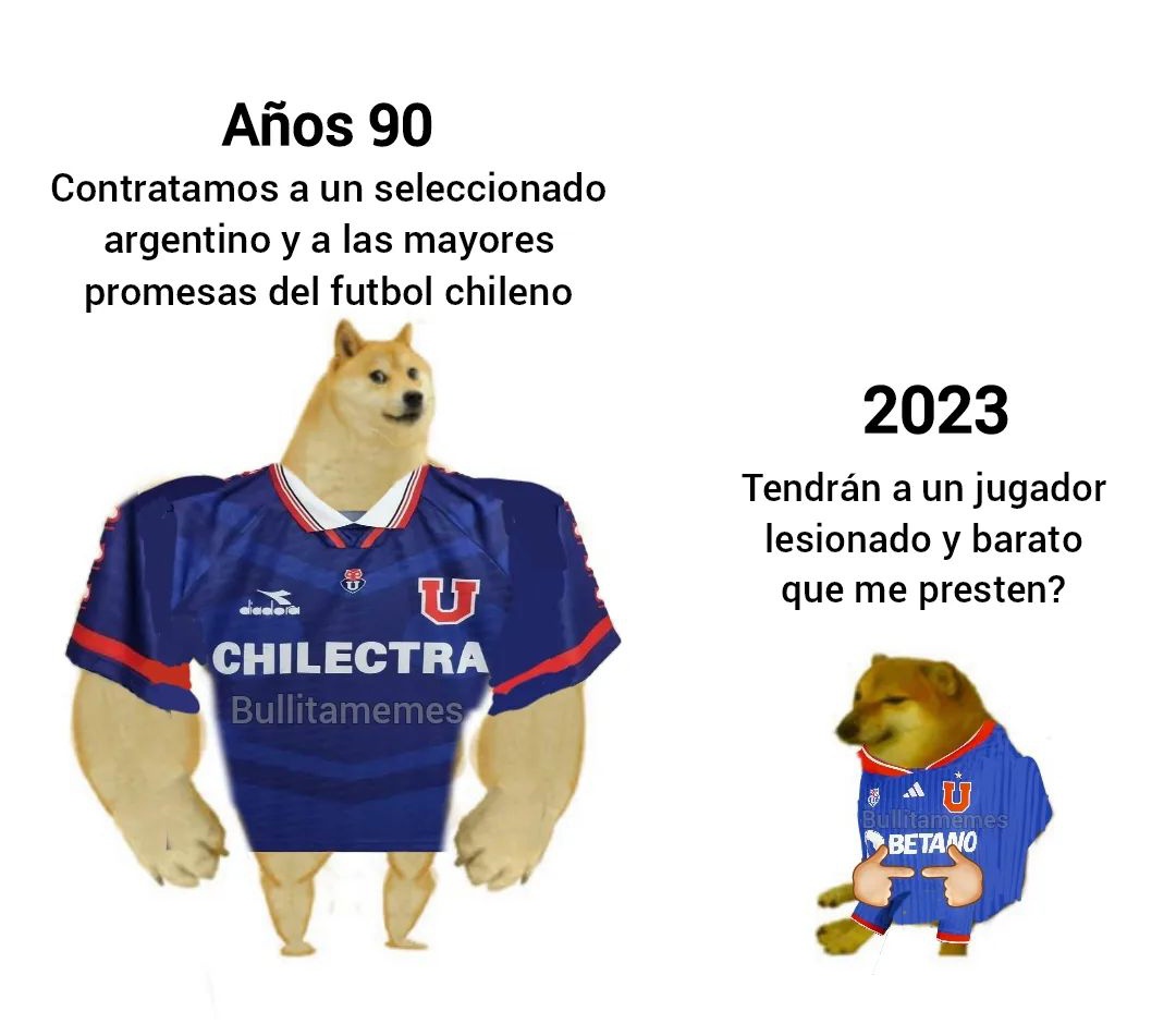 Vichooazul_'s tweet photo. @udechile https://t.co/jbQ60CdF5Z