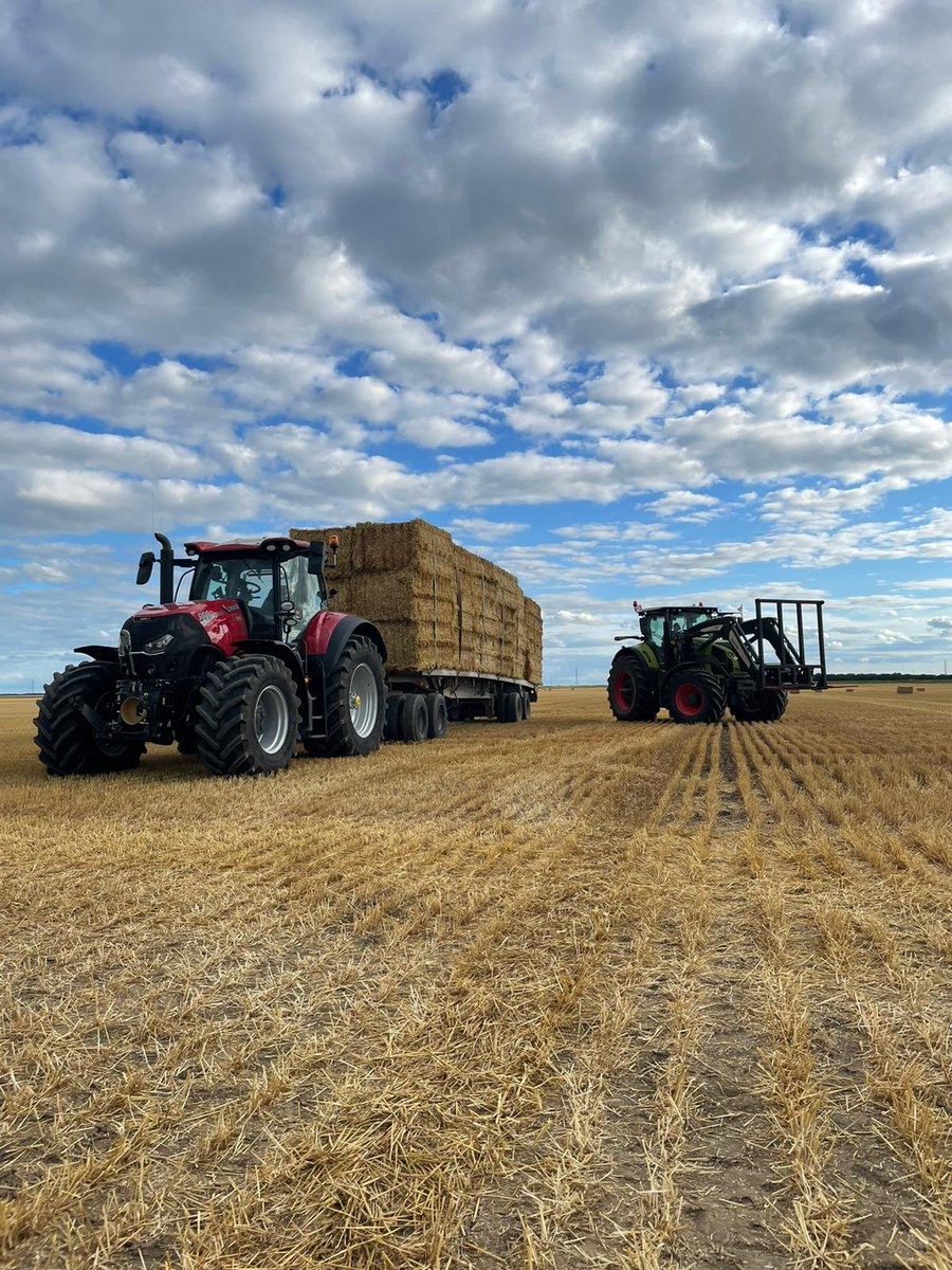 WalterDeKruyff's tweet photo. Looking to buy straw in the windrow. Fast clean up https://t.co/eSjx3WQ58b