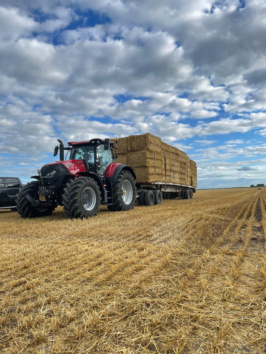 WalterDeKruyff's tweet photo. Looking to buy straw in the windrow. Fast clean up https://t.co/eSjx3WQ58b