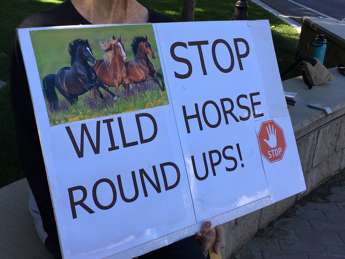 👀➡️ also fyi re #stopanimalcruelty #blm #wildhorses and #nevada generally speaking 🐴🔥👉