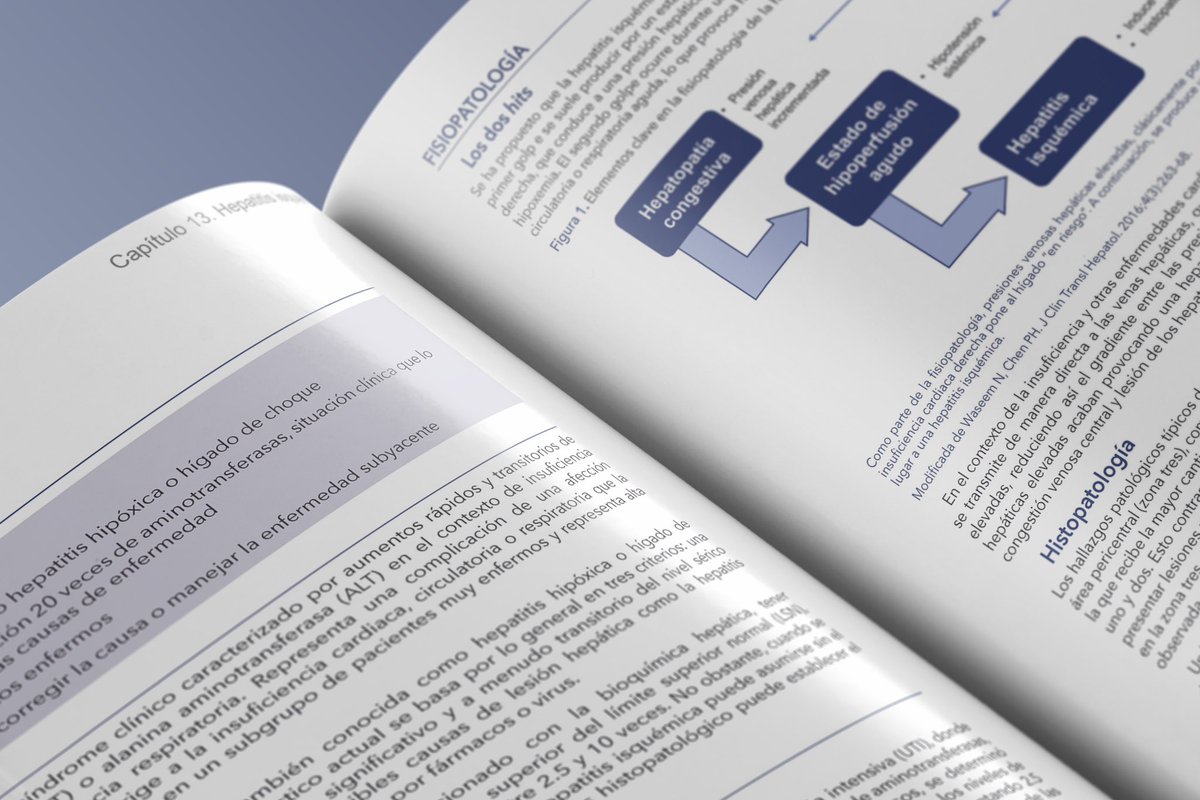 Editorial ASECOM MX Asesores en Comunicación tweet media