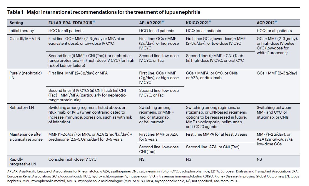 SwastiThinks's tweet photo. Major international recommendations for the treatment of lupus nephritis and Novel therapeutic agents in SLE and lupus nephritis https://t.co/CCA78L2Ij0 https://t.co/bPxrBWCUIO