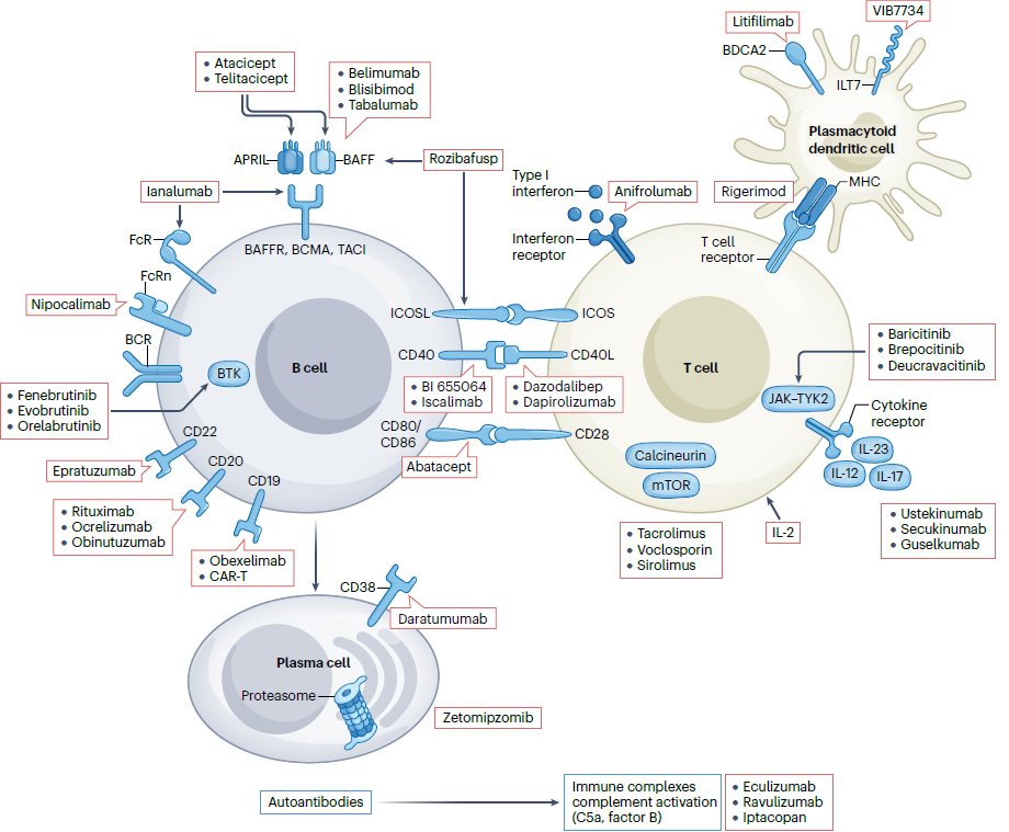 SwastiThinks's tweet photo. Major international recommendations for the treatment of lupus nephritis and Novel therapeutic agents in SLE and lupus nephritis https://t.co/CCA78L2Ij0 https://t.co/bPxrBWCUIO