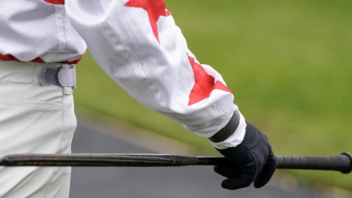 Personally I'm all for a no-whip trial period (still carried, obviously).

Does show the general ignorance of it that even <a href="/RacenetTweets/">Racenet</a> would use an image of a UK/IRE jumps whip in their article though...