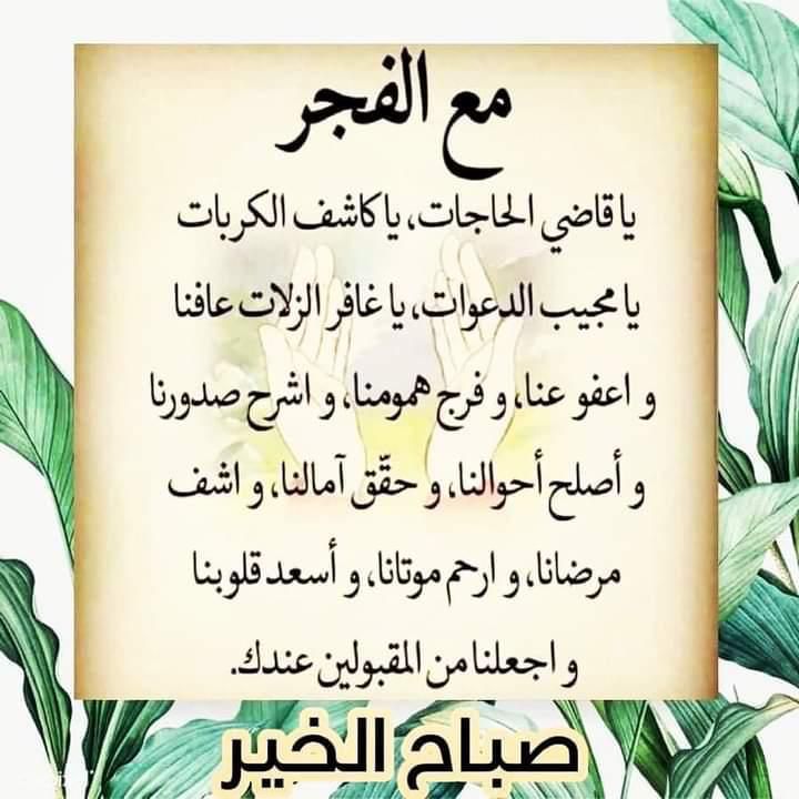 mma_014's tweet photo. الليلة يجتمع فضلان فضل ليلة الجمعة و فضل ليلة عاشوراءاللهم كل مانخشى أن يكون علينا صعبا هونه وكل مانخشى أن يكون لنا عسيرا يسره اللهم اجعلها حاملة لنا من الخير فوق مانرجوا واشرح صدورنا ويسر امورنا وأرحم موتانا واشف مرضانا واجعلها جمعة خير وبركه يارب…🤲🏿 https://t.co/RgDOiZXLU1