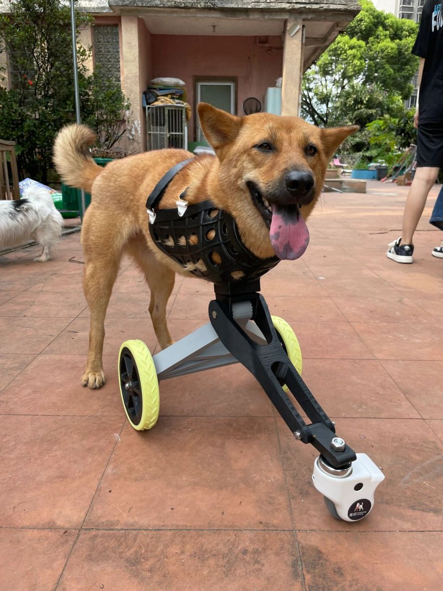 If life is a battle, why keep fighting to lose? Don't forget that only your mental judgment can decide whether you win or lose this battle. As long as we don't give up, we can.💪🏻