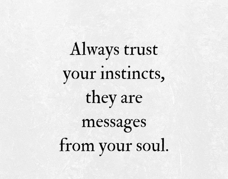 AlinaPanduru's tweet photo. ♥️ https://t.co/3K3jY6TfTw