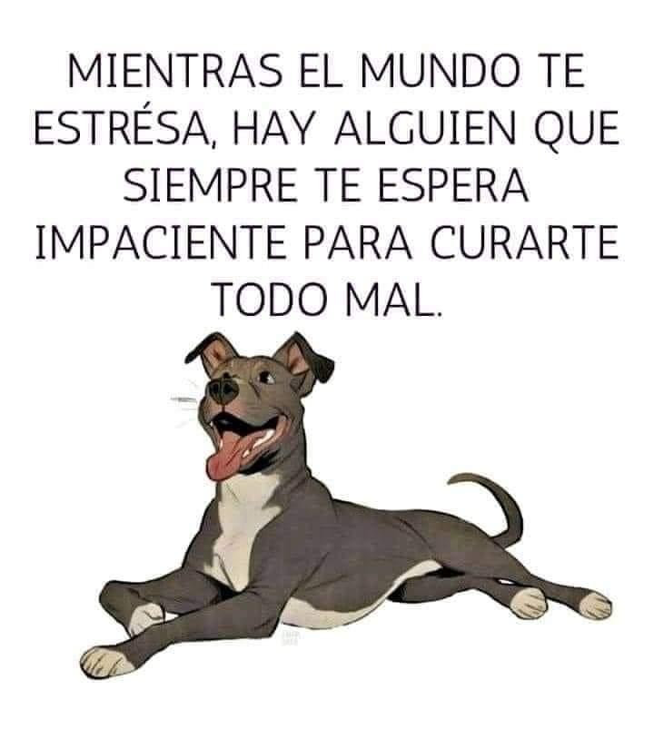 Guadalupe Ramirez tweet media