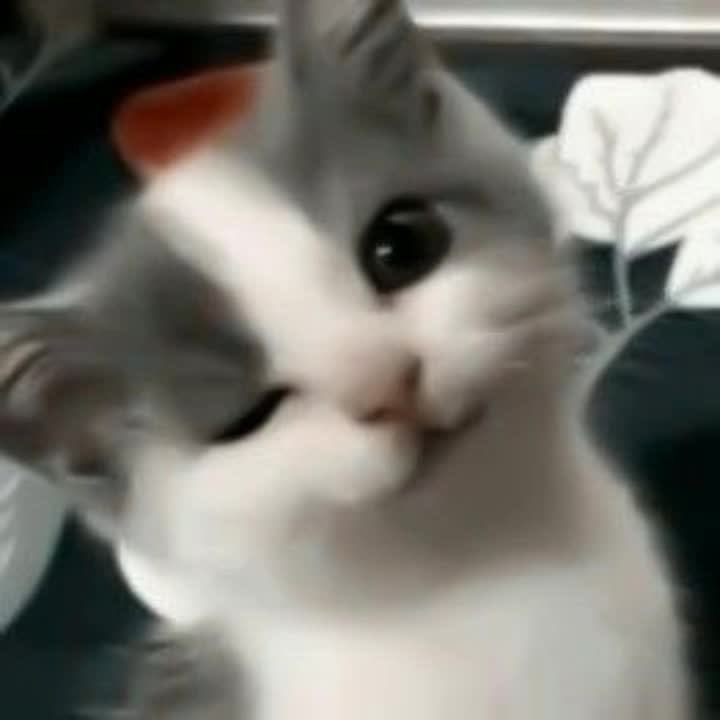 sunooko1's tweet photo. น่าย้ากมาก เดี๋ยวนี้น้องซอนอูเค้าชอบวิ้งค์แบบนี้ เหมือนลูกแมวเยยจิงจิง ㅠㅠㅠㅠㅠㅠㅠㅠㅠㅠㅠㅠㅠ ♡♡♡♡ https://t.co/jkuaZeyFUY