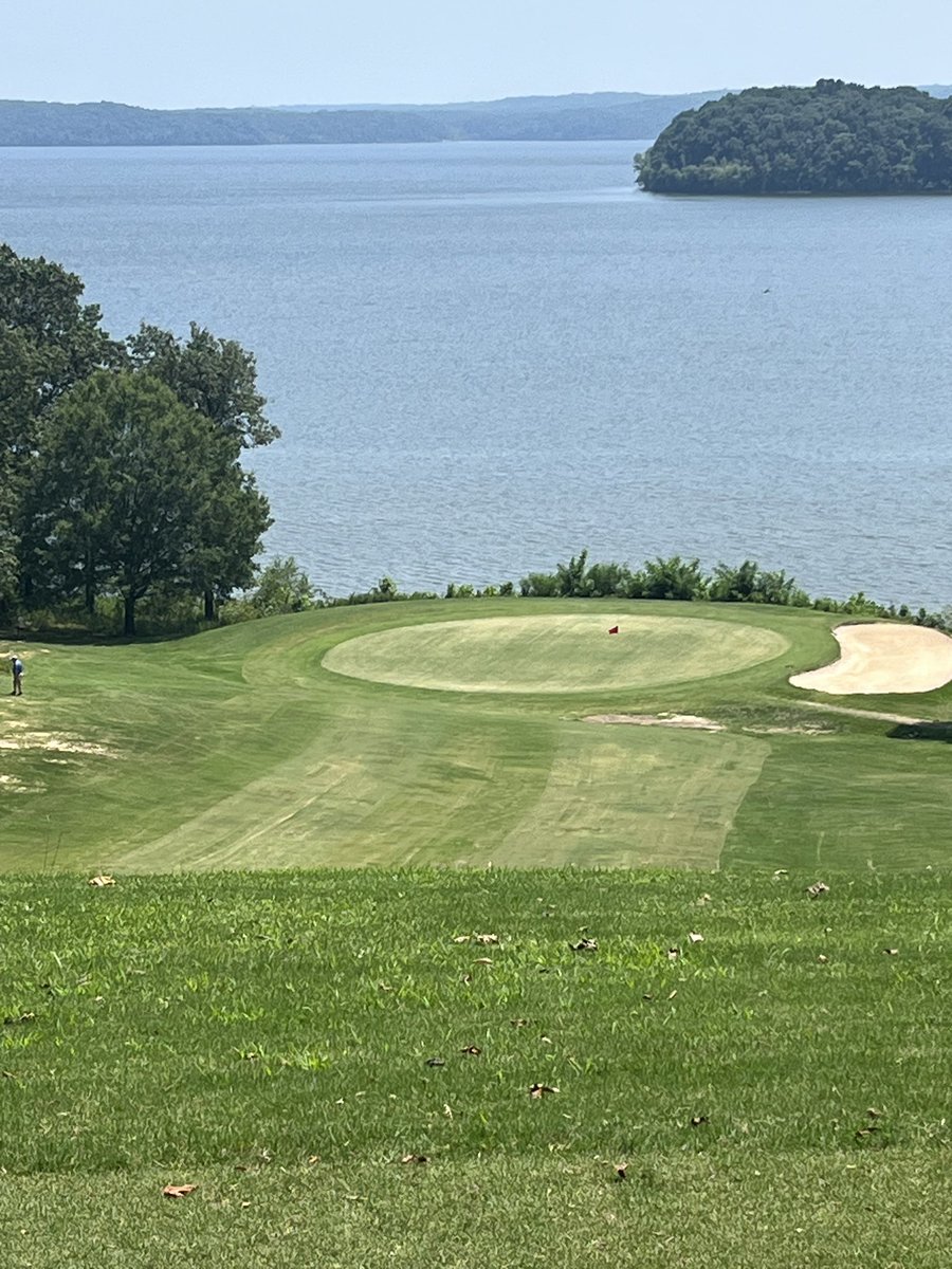 Springfield Yellow Jacket Golf tweet media
