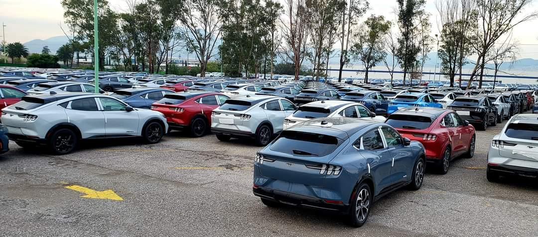 PuntoMedioEdo's tweet photo. 📍🙉🚘 Cuautitlán #Izcalli... "la cuna" del Ford Mustang eléctrico.

Los patios de la empresa Ford, ubicada en el municipio, están "repletos" de vehículos para distribuir por todo el mundo.

La compañía, está innovando en la producción de autos amigables con el medio ambiente. https://t.co/U4AS1eVFOV