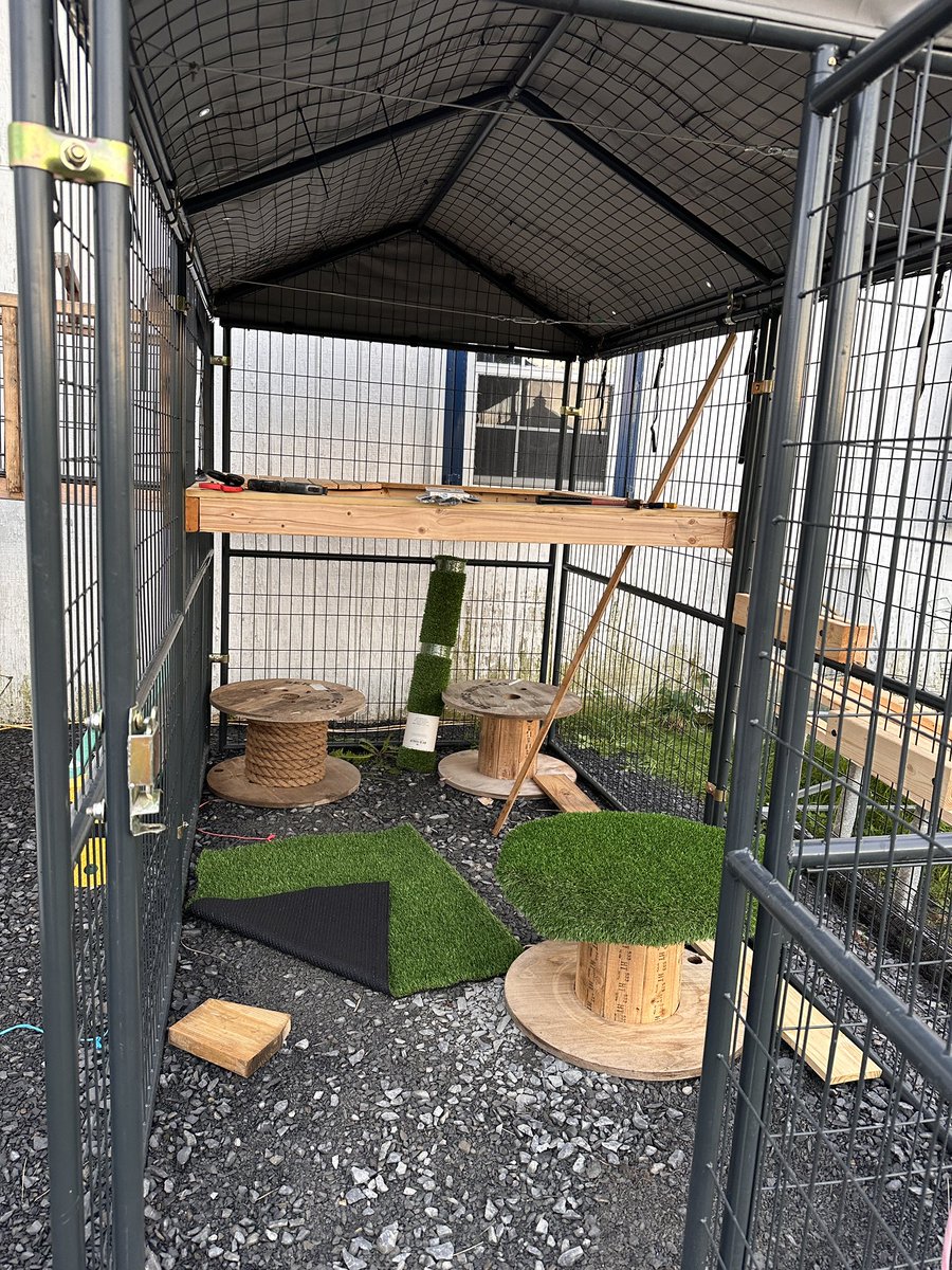 m_crouton's tweet image. Upholstery in progress. Upcycling some wire spools and adding decking into corners. Tomorrow we will do ramps. The kitties will love it! #catio