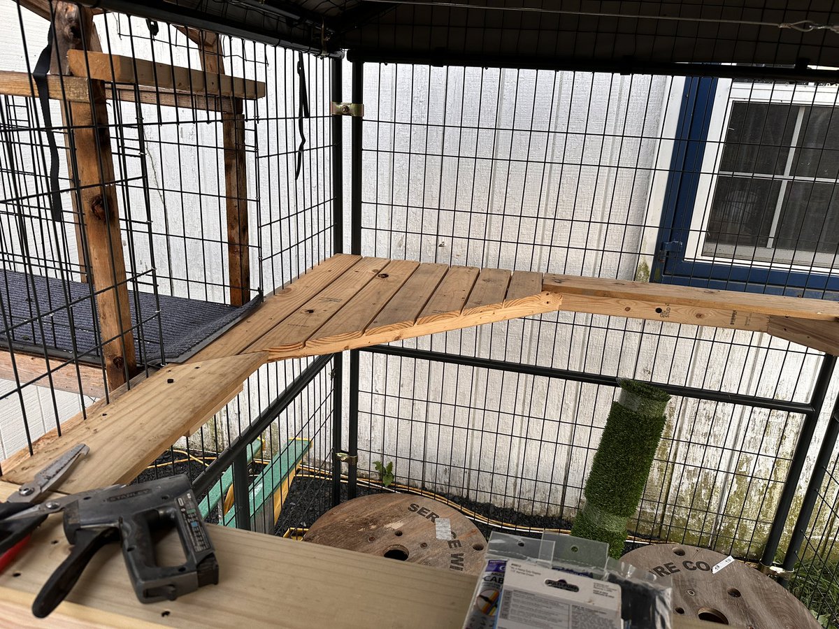 m_crouton's tweet image. Upholstery in progress. Upcycling some wire spools and adding decking into corners. Tomorrow we will do ramps. The kitties will love it! #catio