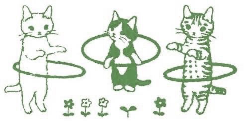 chau! ★⁵ tweet media