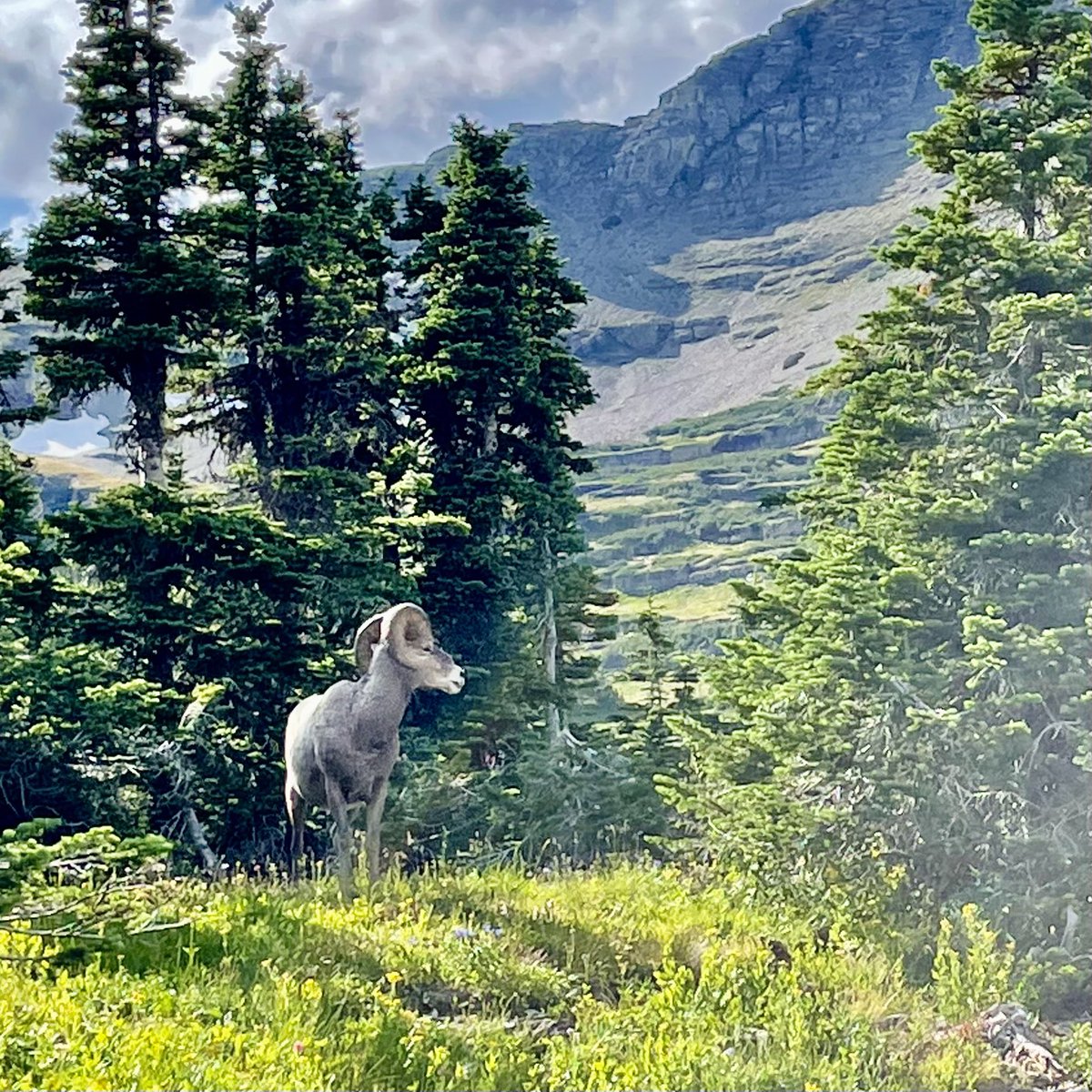 Señor Más tweet media