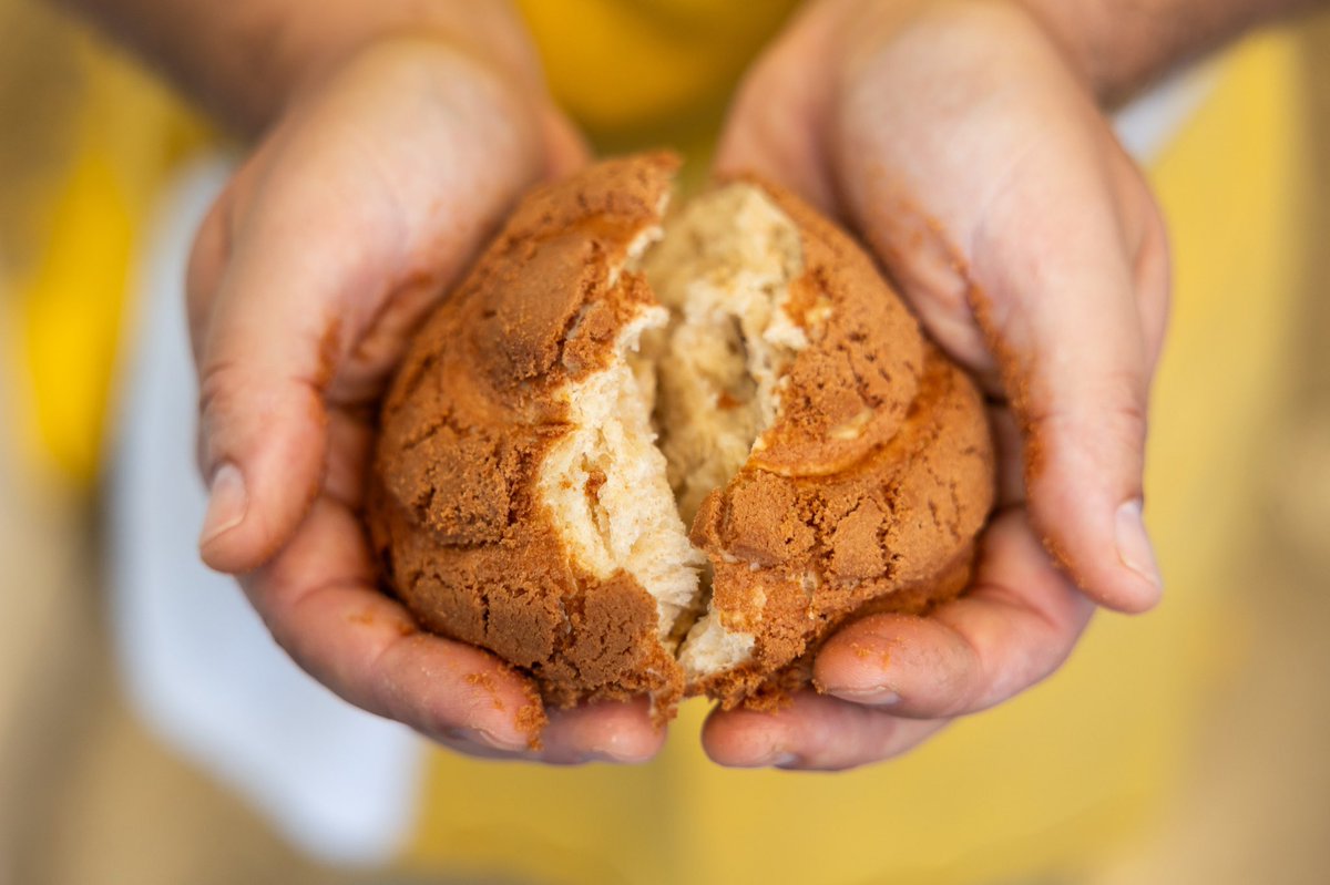 bdelossantos1's tweet photo. Finally got to publish something about my fave pan dulce in the world. Also got to do it with my fave food connoisseur @gabchabran! 

Check out the latest #HowtoLA episode where we take you into the multiverse of conchas

 🎧 https://t.co/iKtkXEcqF2 https://t.co/d4ZHEfJGO3
