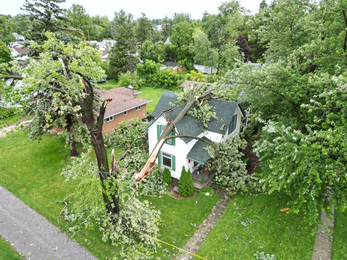 Donnymoore's tweet photo. @NTP_Reports Harrow July 26
Wide spread damage from Colchester to at least 3rd concession. https://t.co/8GT9uioYL2