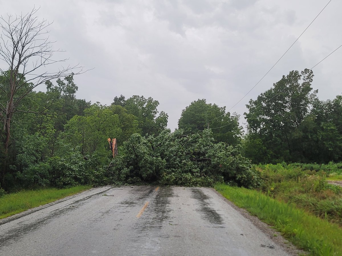 Donnymoore's tweet photo. @NTP_Reports Harrow July 26
Wide spread damage from Colchester to at least 3rd concession. https://t.co/8GT9uioYL2
