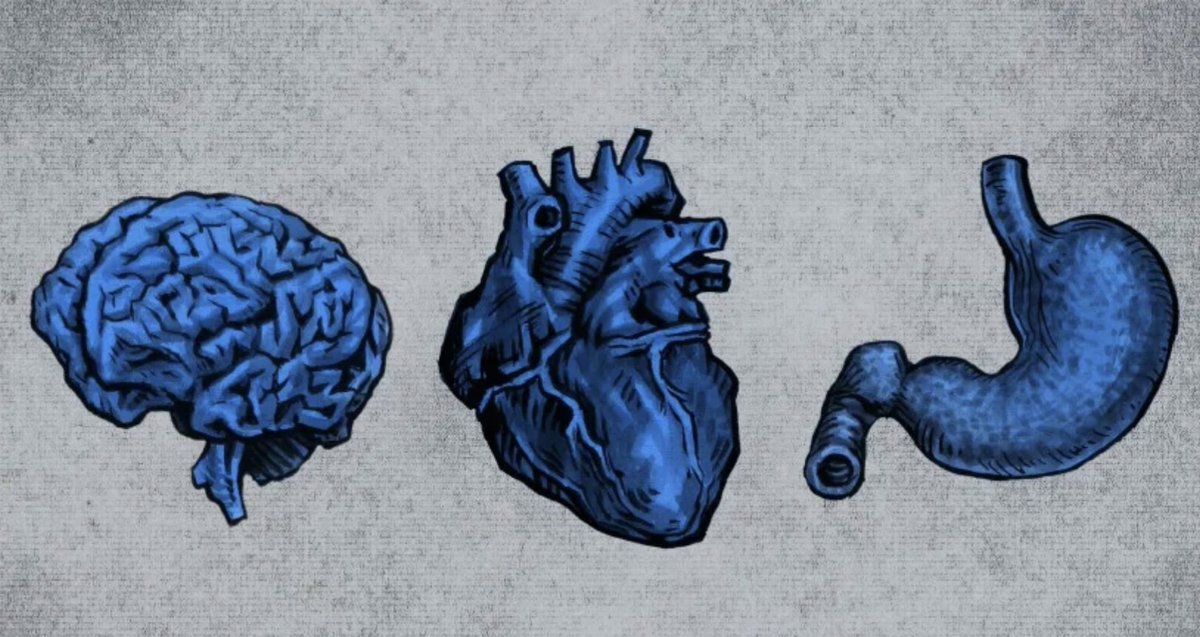 Jonny Miller tweet media