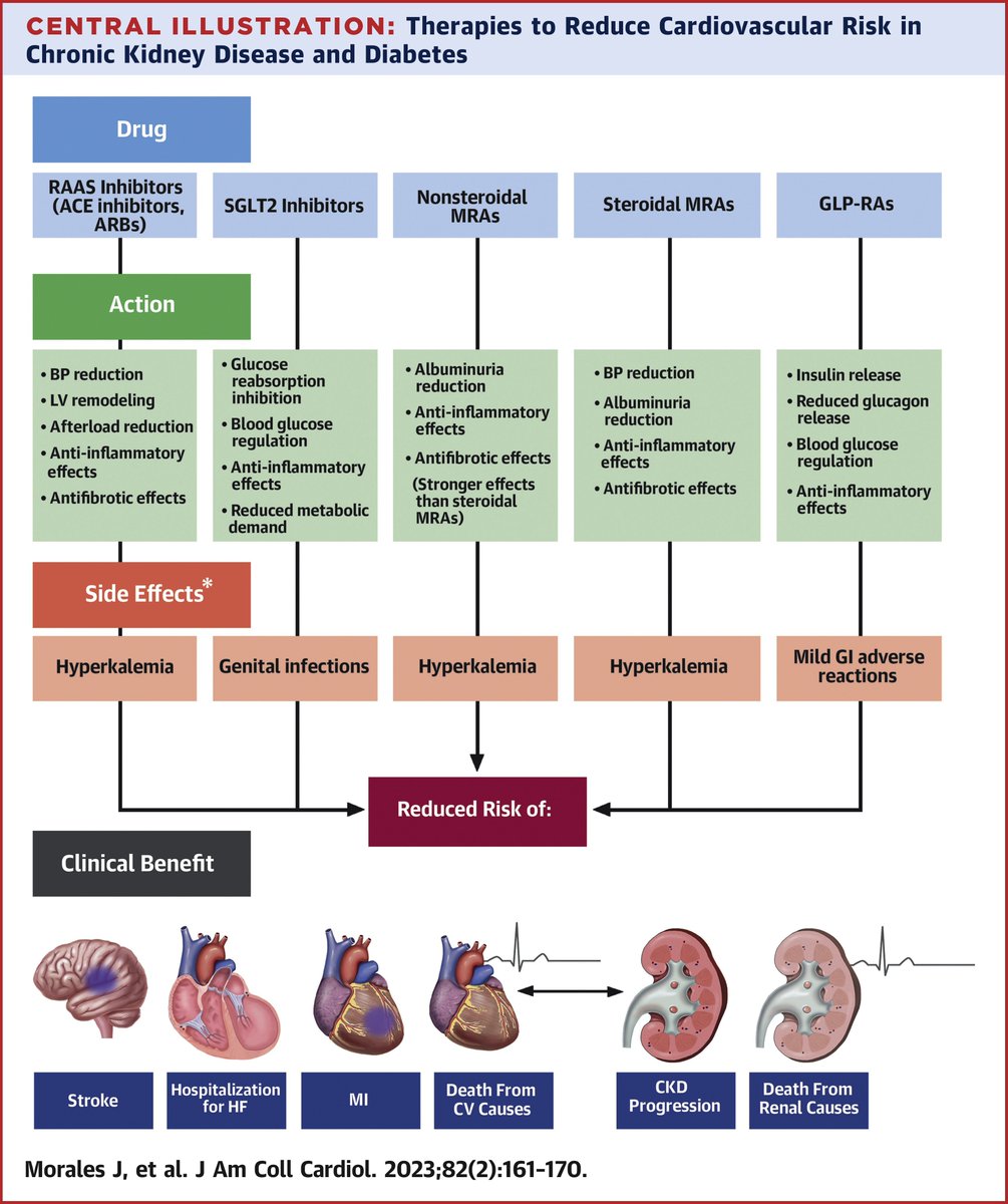 American College of Cardiology (@accintouch) on Twitter photo 💬 The complex pathophysiology of CKD in diabetes, together with its CV complications, provides many potential mechanistic targets for therapy -- Drs. <a href="/saxodoc/">Javier Morales</a> & <a href="/YHandelsmanMD/">Yehuda Handelsman MD FACP, FNLA, FASPC, FAHA, MACE</a> .
Read more on CV outcomes in patients w/ #diabetes & kidney disease: bit.ly/44IV5bN 💬 The complex pathophysiology of CKD in diabetes, together with its CV complications, provides many potential mechanistic targets for therapy -- Drs. <a href="/saxodoc/">Javier Morales</a> & <a href="/YHandelsmanMD/">Yehuda Handelsman MD FACP, FNLA, FASPC, FAHA, MACE</a> .
Read more on CV outcomes in patients w/ #diabetes & kidney disease: bit.ly/44IV5bN
