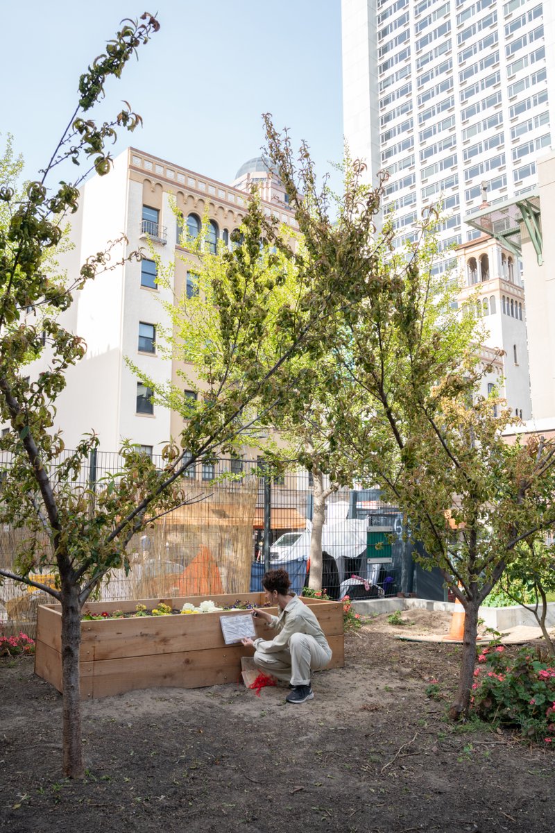 MovingGround_'s tweet photo. Take some time with a tree today! 
Photo by Hillary Goidell taken at the Tenderloin Arts Festival at Boedeker Park 
#TenderloinArtsFestival #treetime #NETWORK #outdoors https://t.co/owU7IXyhkr