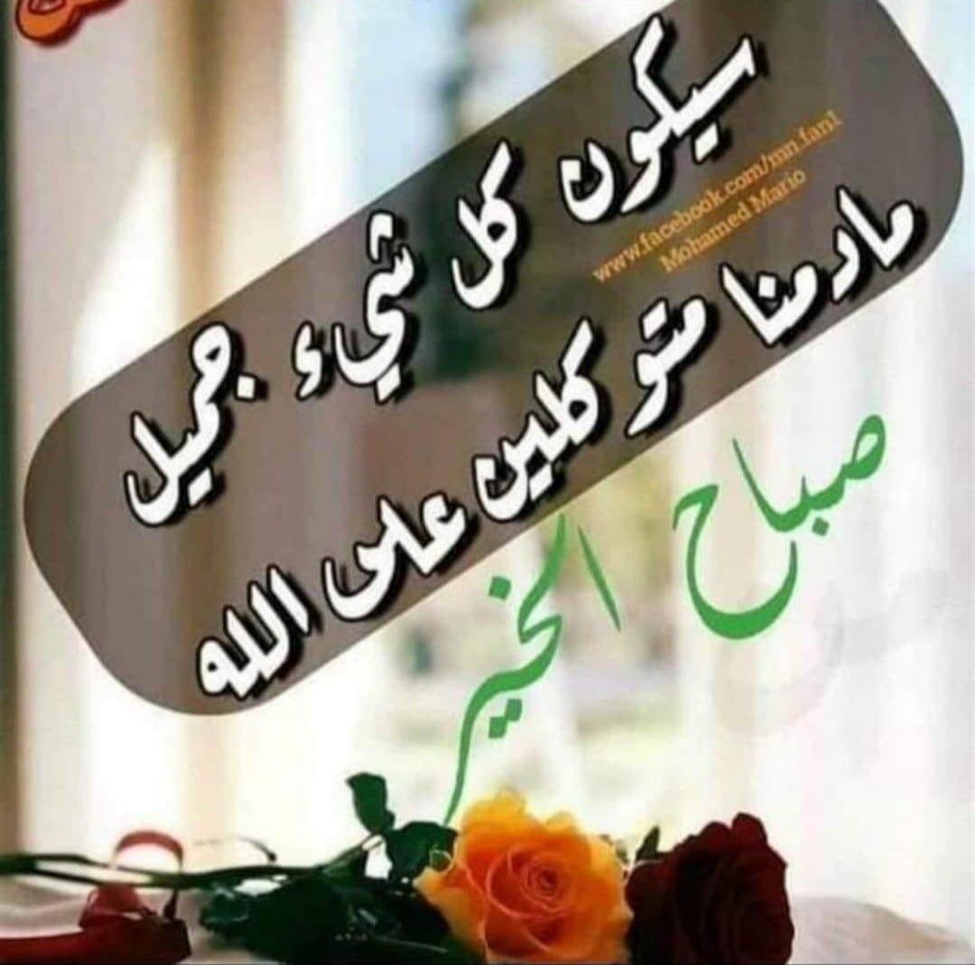 ahml_553's tweet photo. صباح الخير https://t.co/puHBM3rL7V