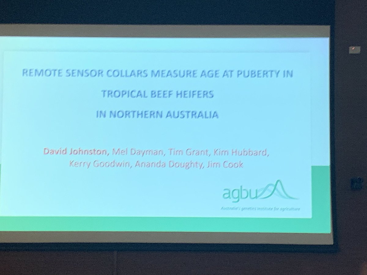 AGBU_GENE's tweet photo. Just witnessed an incredible presentation by @agbu_gene David Johnston at #aaabg2023! 🐮📡 His research on remote sensing collars to measure puberty in northern cattle is very promising 🌟@UniNewEngland @nswdpi @meatlivestock https://t.co/AYInO2Axxj