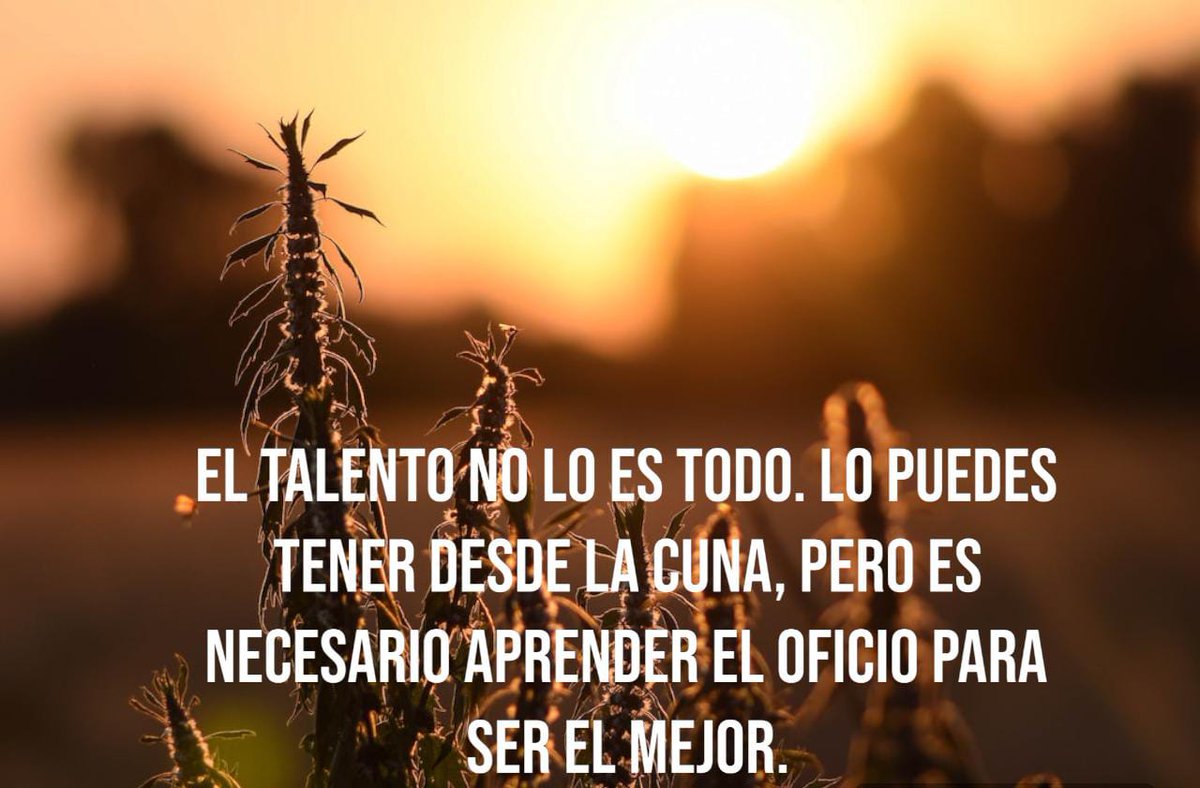 panicillo10632's tweet photo. El talento no lo es todo. 
Así lo dijo #CR7𓃵 https://t.co/3e37ZfFufm