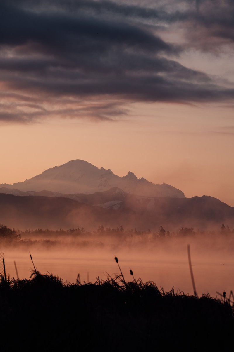 DЯ1FT3Я tweet media