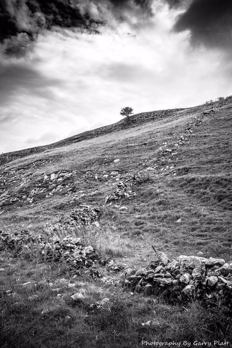 I have been looking at all the images I have published here over the last year, and I clearly love isolated trees on the side of hills. Perhaps it’s that sense of loneliness and isolation they harbour or perhaps I am attracted to the way they define the area they occupy.