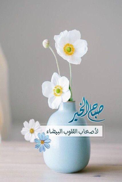 33AS__'s tweet photo. #صبـــاح_الخيــر
 وإن كان هناك مايحـزنك فهــناك ماسيُفــرحك يوماً ما , تفائل وثــق بربّــك وابــدأ يومـك بإبتسامة💜 https://t.co/qG6ciKztLd