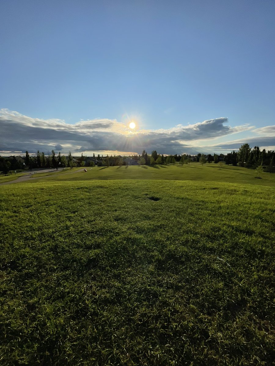 Fuck a concrete jungle I LUV THE SUBURBS!!!