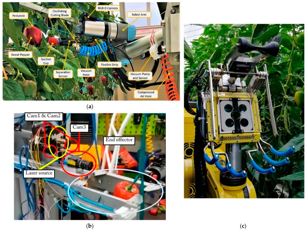 AgricultureMdpi's tweet photo. #AgricultureMdpi - 2022 High Cited Paper
Title: An Overview of End Effectors in Agricultural Robotic Harvesting Systems
Authors: Eleni Vrochidou et al.
Link: https://t.co/hMoOnqT0oz
#endeffector #manipulation #harvestingrobots #agrobots #gripper https://t.co/pi9i4YJX6e