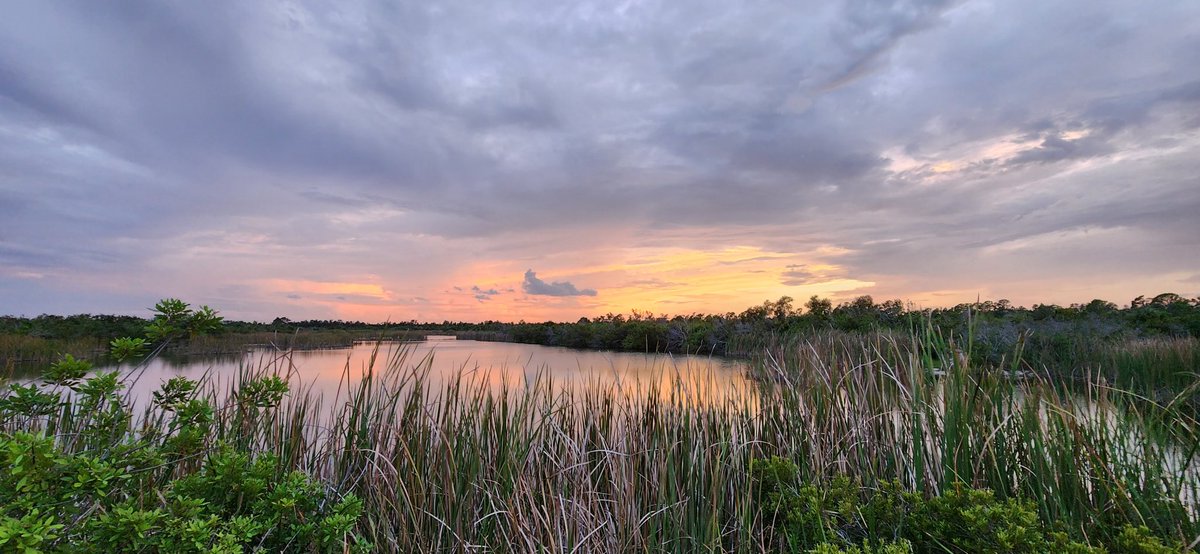 Venom101 (@fominben7) on Twitter photo 