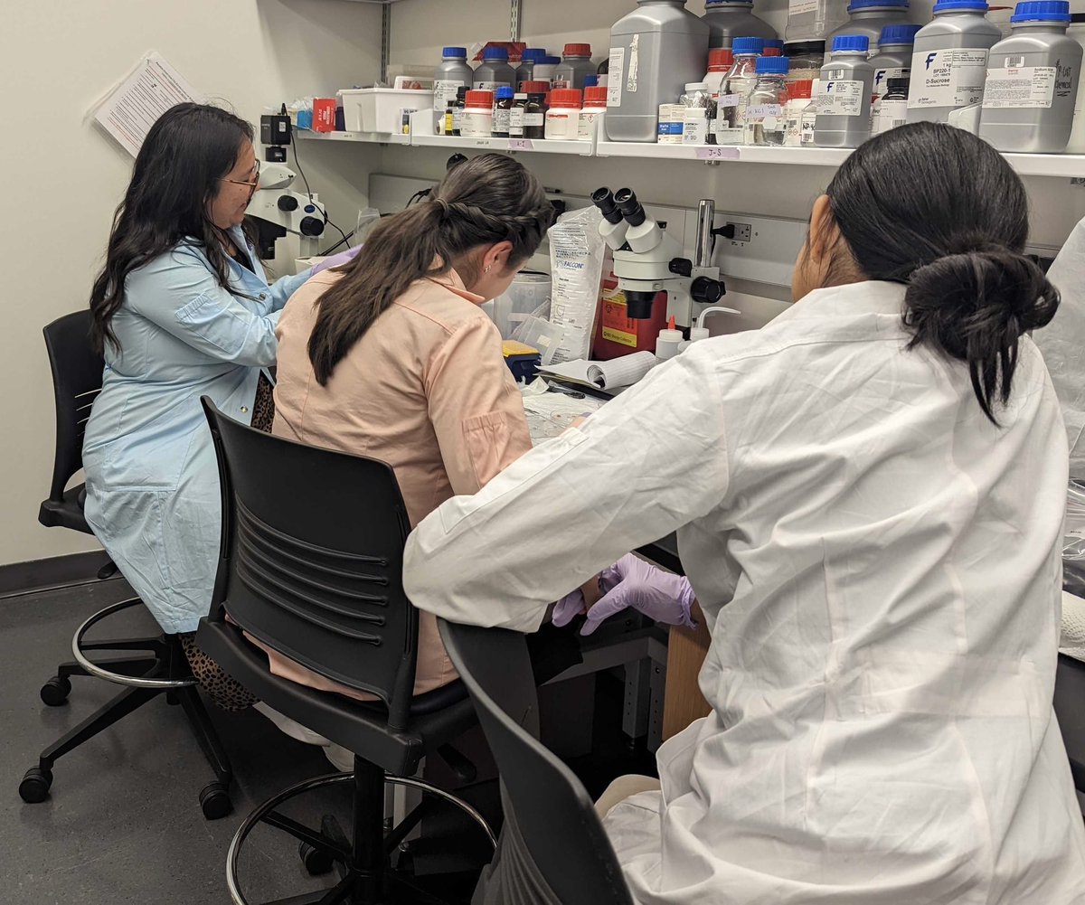 Kellie Ann Jurado (@kelliejurado) on Twitter photo Incredibly proud of <a href="/MontseArreguin/">Montserrat Arreguín</a> for being named a Gilliam Fellow! Grateful to be apart of her scientific journey & to watch her thrive scientifically while living out her core values. This summer she is mentor to both an undergraduate and high school trainee! #inspired Incredibly proud of <a href="/MontseArreguin/">Montserrat Arreguín</a> for being named a Gilliam Fellow! Grateful to be apart of her scientific journey & to watch her thrive scientifically while living out her core values. This summer she is mentor to both an undergraduate and high school trainee! #inspired