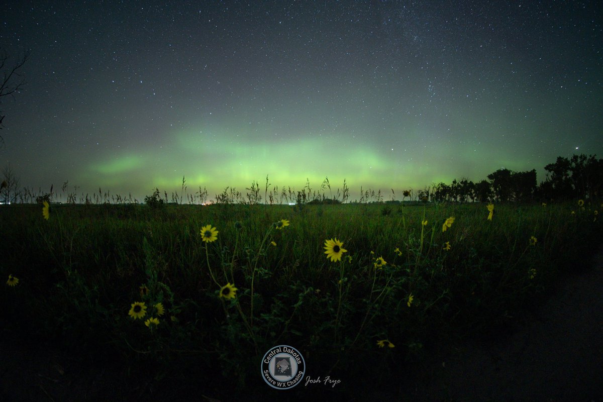 CentralDakSWXC's tweet photo. A few more Aurora shots from a few nights back(7/25-7/26/2023). These were taken with my wide angle lens. - Josh near Granville, North Dakota #pentaxk1mkii #capturend #Aurora #ndwx @TamithaSkov @TweetAurora https://t.co/a7wIRH8ZLD