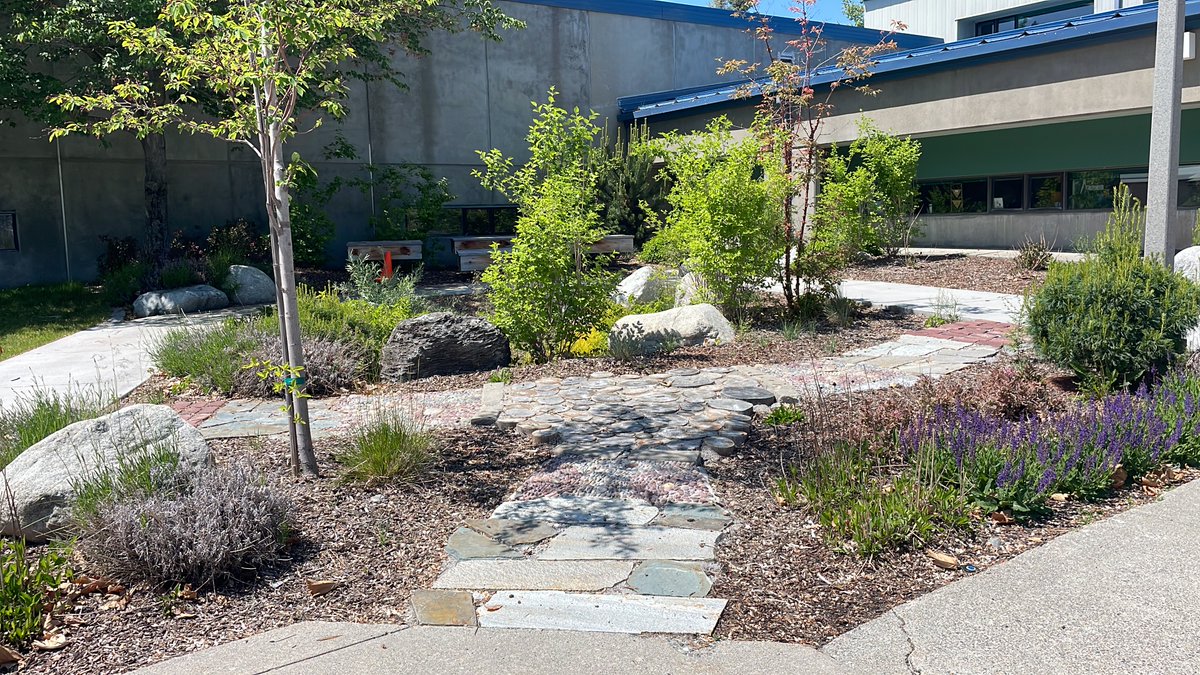 EarthGen tweet media