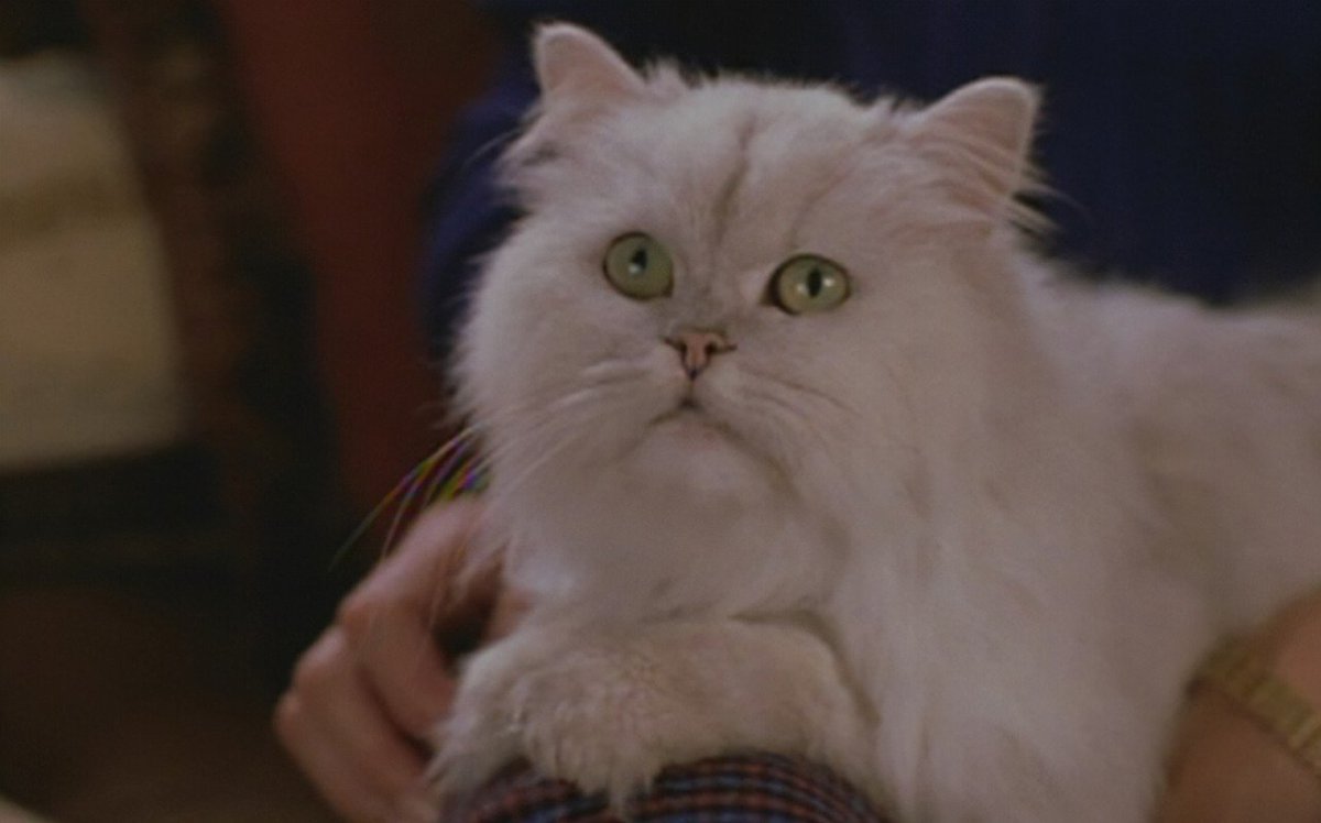 RidleyKj's tweet image. Same VA... #NathanLane #StuartLittle #LionKing