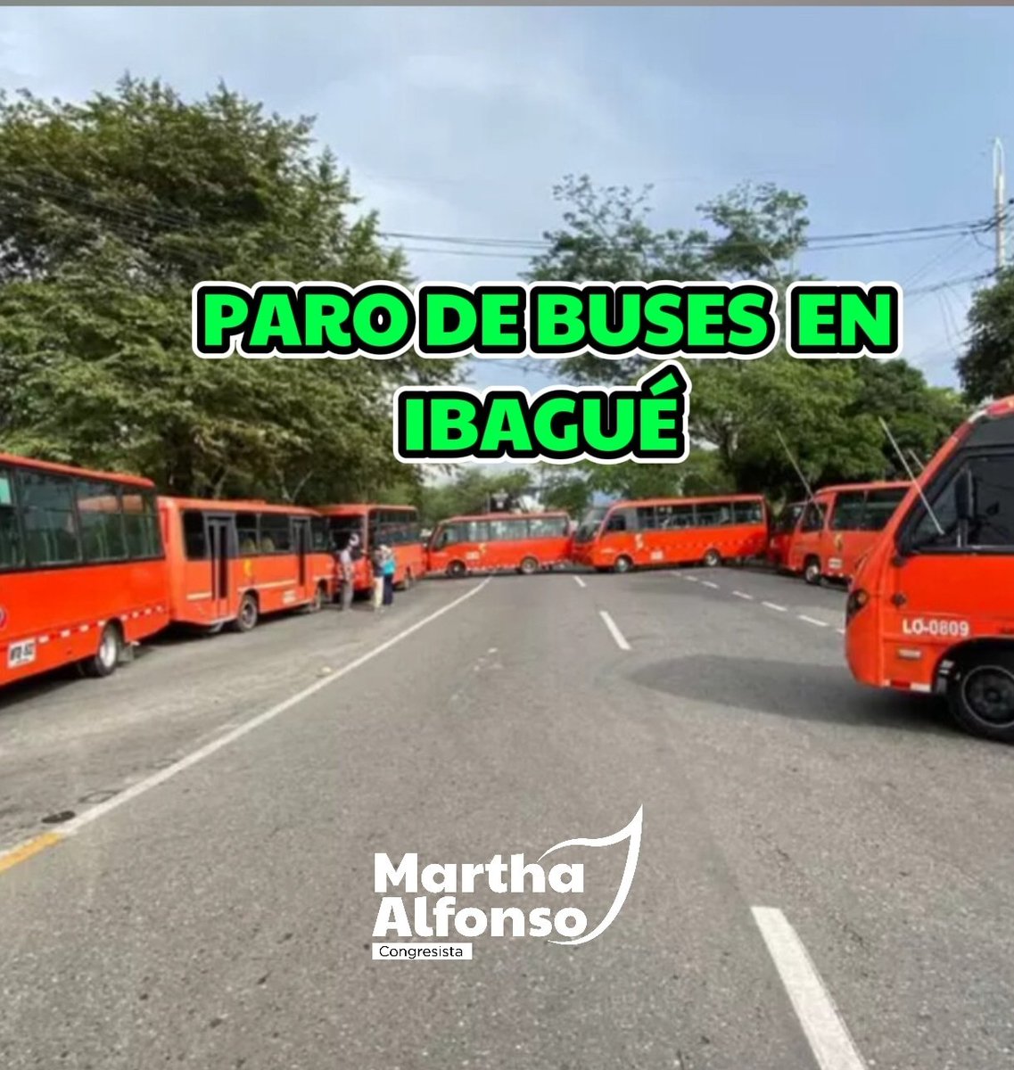 MarthaAlfonsoJ's tweet photo. 🚌 El #paro de buses en #Ibagué debe prender las alarmas de las entidades de control a nivel central. No hay confianza en el alcalde de la capital del #Tolima y el contrato con #InfoTic
👇En este video les cuento mi postura
https://t.co/PrXMOB677I https://t.co/ZjmWo8hD2e