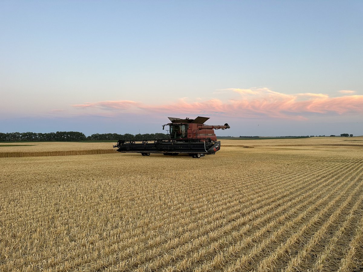 Doing our part to help make it rain. Can’t wait to go to work tomorrow! #barley #malt #nobarleynobeer