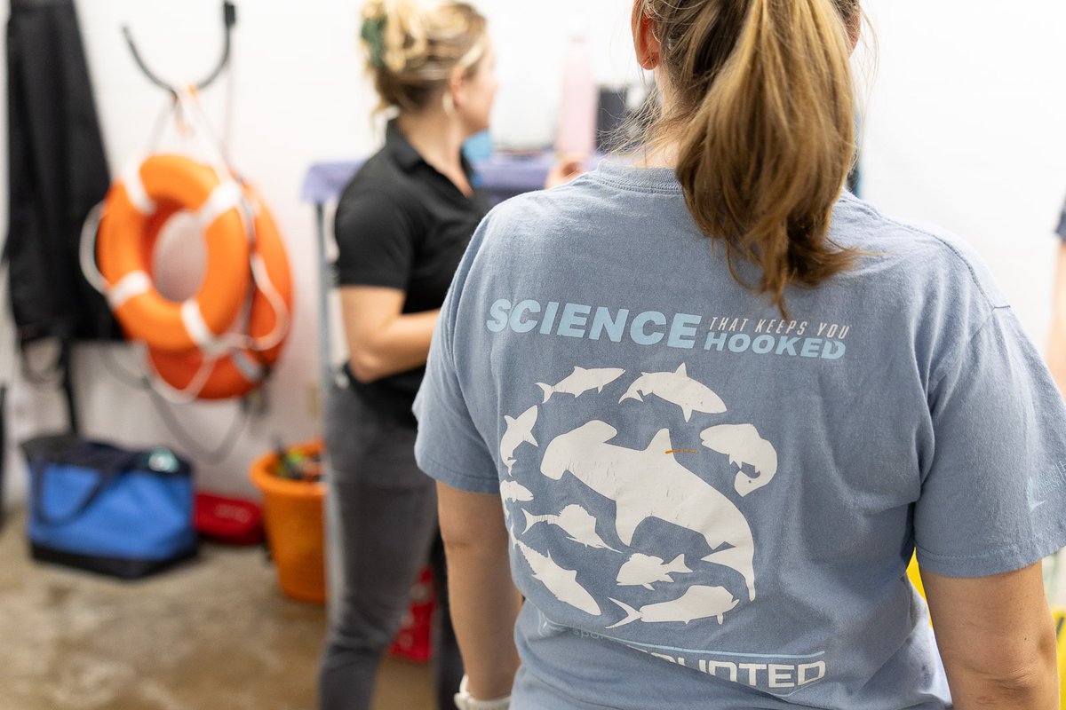 Harte Research Institute (@harteresearch) on Twitter photo Thanks to everyone who tuned in to see our very own Dr. Kesley Banks on <a href="/SharkWeek/">Shark Week</a>!
If you enjoyed the episode, consider making a donation to help further the <a href="/SportfishCenter/">Sportfish Center</a>'s shark research!
Donate at SupportHRI.org
#SharkWeek2023
<a href="/IslandCampus/">Texas A&M-Corpus Christi</a> Thanks to everyone who tuned in to see our very own Dr. Kesley Banks on <a href="/SharkWeek/">Shark Week</a>!
If you enjoyed the episode, consider making a donation to help further the <a href="/SportfishCenter/">Sportfish Center</a>'s shark research!
Donate at SupportHRI.org
#SharkWeek2023
<a href="/IslandCampus/">Texas A&M-Corpus Christi</a>