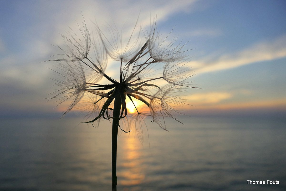 South Haven sunset.