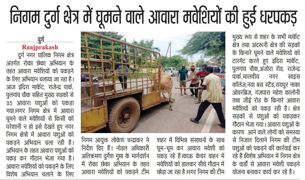 IASTripathiCG's tweet photo. #StrayCattles #Relocation #AnimalProtection #Tagging #JointActivity @DurgDist #ULB @ChhattisgarhCMO @RChoubeyCG @amitabhjn @KPSingh_IAS https://t.co/tveG1Sgo1s