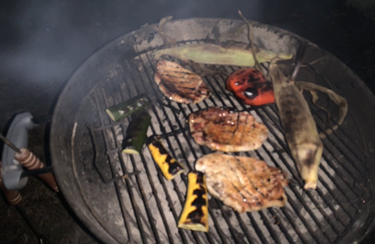 thedullguy's tweet photo. Rented a beach cottage with a Weber in the shed, and well, you know what to do with that, right Steve-o? Also: those 9:00 EDT late July sunsets they got in Michigan? 🤘🏼🤘🏼🤘🏼#TeachersInSummer #PureMichigan #MTBoSCooks https://t.co/QdZfDb0Db4